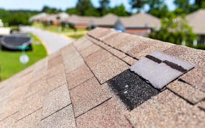 Is It Time for a New Roof? Signs You Need a Replacement
