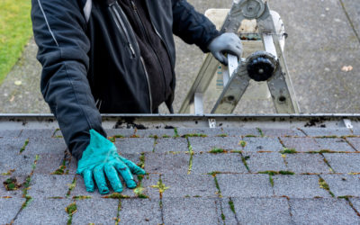 How To Maintain Your Roof: The Ultimate Guide